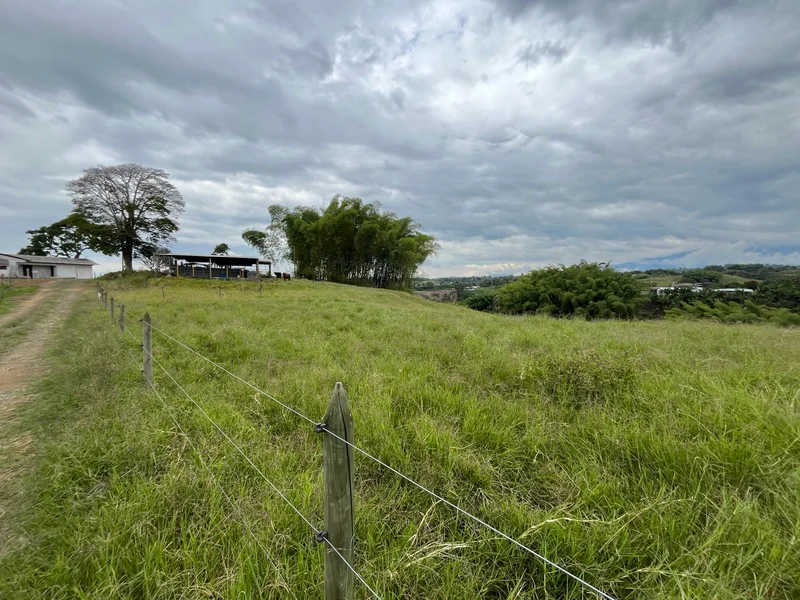 4 fincas juntas en Filandia | 111.422 m² | $1.700 millones — foto 3 de 7