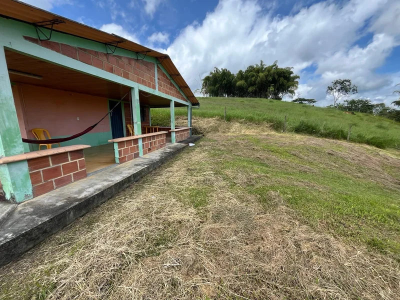4 fincas juntas en Filandia | 111.422 m² | $1.700 millones — foto 4 de 7