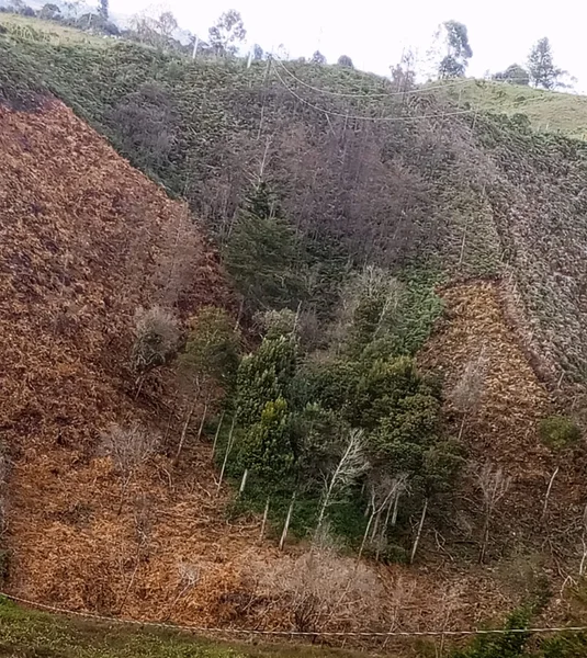 🌿 Se vende lote campestre sobre vía principal Yolombal, cerca a Guarne– Excelente ubi. — foto 3 de 5