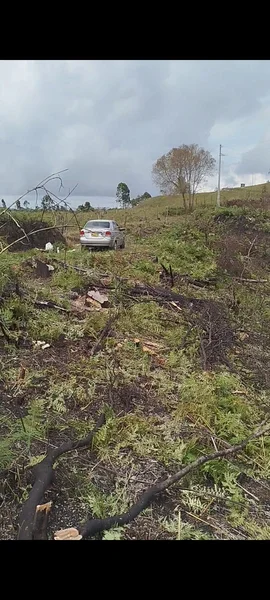 🌿 Se vende lote campestre sobre vía principal Yolombal, cerca a Guarne– Excelente ubi. — foto 5 de 5