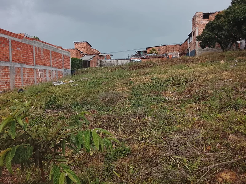 Lote de 5.560 m² en venta – San Antonio de Prado | $3.500 millones — foto 6 de 20