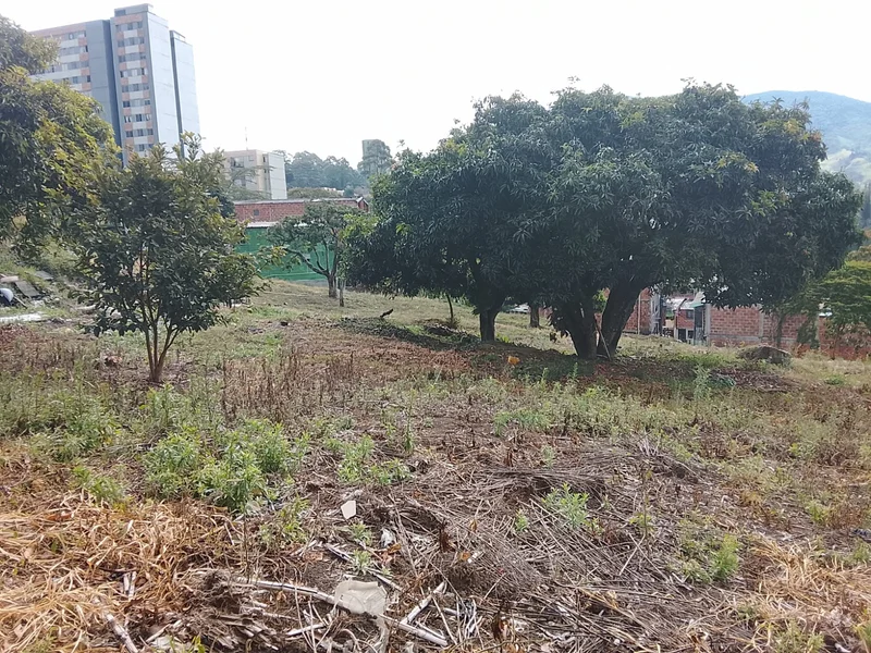 Lote de 5.560 m² en venta – San Antonio de Prado | $3.500 millones — foto 8 de 20