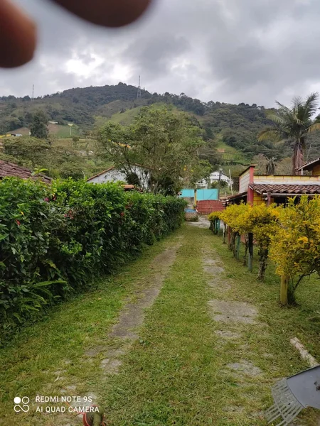 🌳🏡 ¡SE VENDE HERMOSO LOTE EN SAN ANTONIO DE PRADO! 🏡🌳 — foto 8 de 12