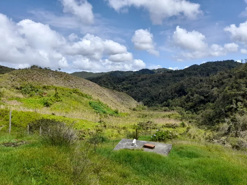 41 HECTÁREAS EN CONCEPCIÓN ANTIOQUIA — foto 7 de 13