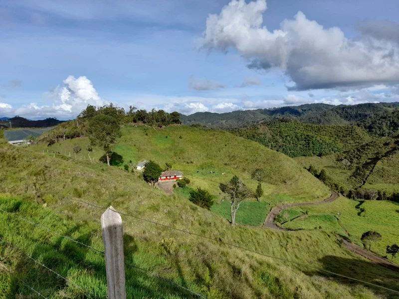 41 HECTÁREAS EN CONCEPCIÓN ANTIOQUIA — foto 4 de 13