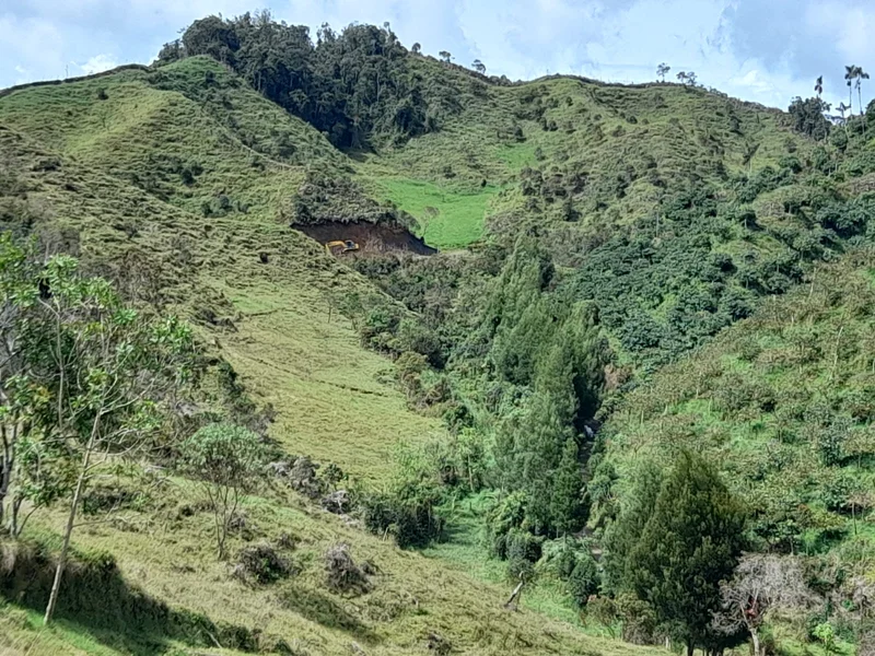 41 HECTÁREAS EN CONCEPCIÓN ANTIOQUIA — foto 8 de 13