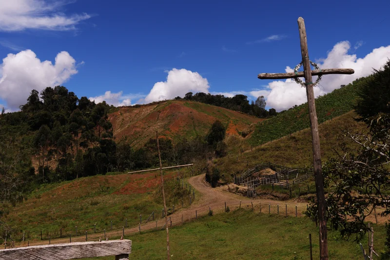41 HECTÁREAS EN CONCEPCIÓN ANTIOQUIA — foto 11 de 13