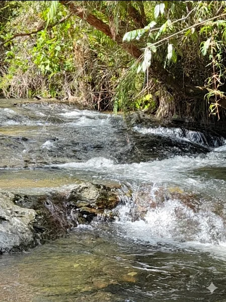 41 HECTÁREAS EN CONCEPCIÓN ANTIOQUIA — foto 9 de 13