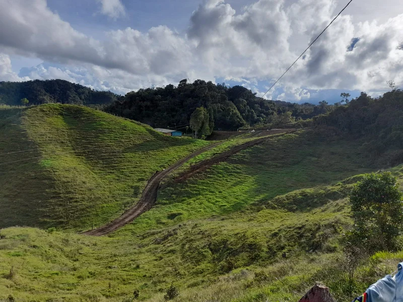 41 HECTÁREAS EN CONCEPCIÓN ANTIOQUIA — foto 2 de 13