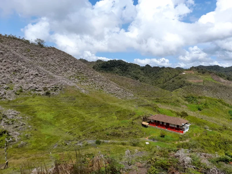 41 HECTÁREAS EN CONCEPCIÓN ANTIOQUIA — foto 6 de 13
