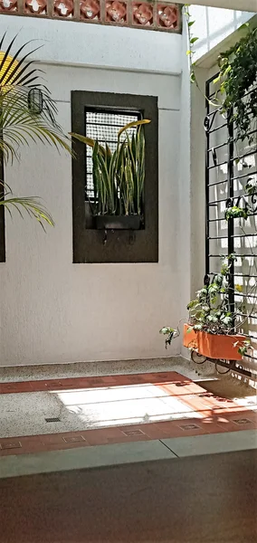 Se alquila apartaestudio en Cali Barrio El Ingenio — foto 6 de 11