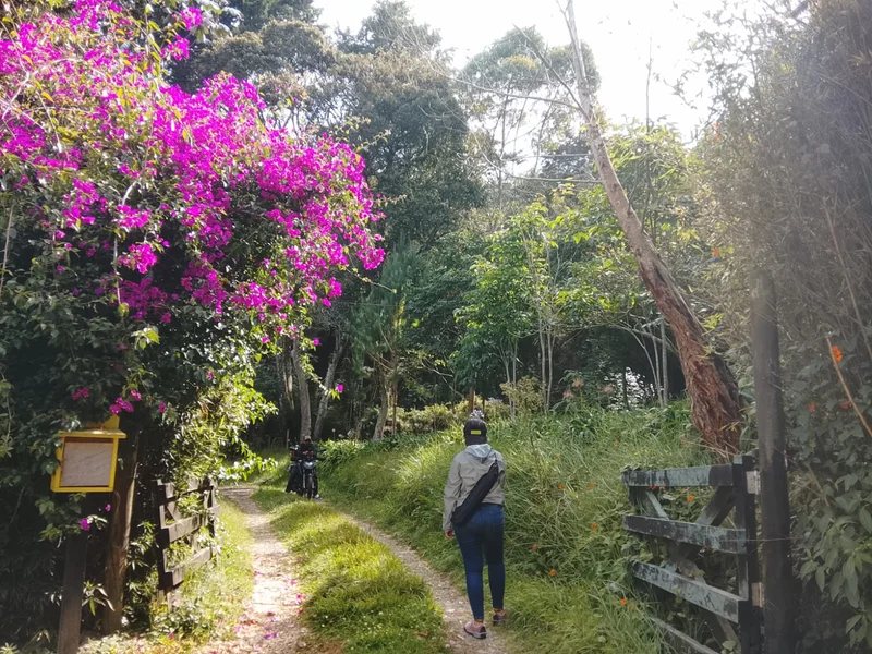 🌿🏡 FINCA CAMPESTRE EN VENTA EN SAN IGNACIO, SANTA ELENA | 6.178 m² | $1.600 MILLONES  ✨  — foto 5 de 20