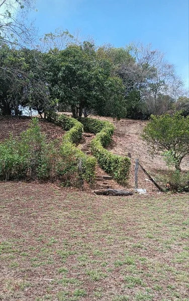 Terreno campestre  — foto 3 de 9