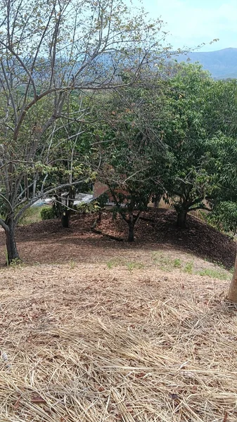 Terreno campestre  — foto 6 de 9