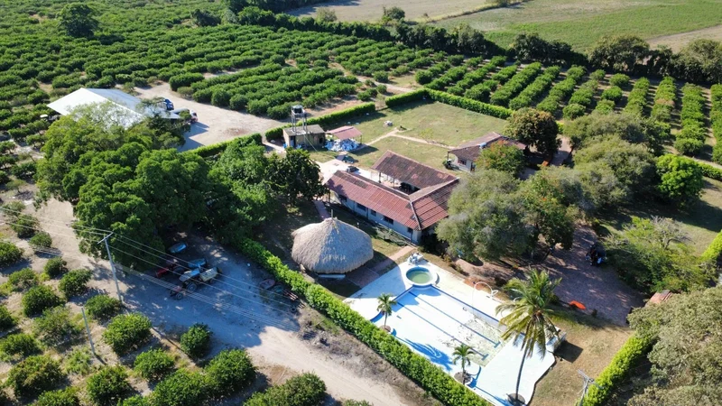 VENDO LOTE CAMPESTRES VARIANTE IBAGUÉ PEAJE COELLO — foto 2 de 9