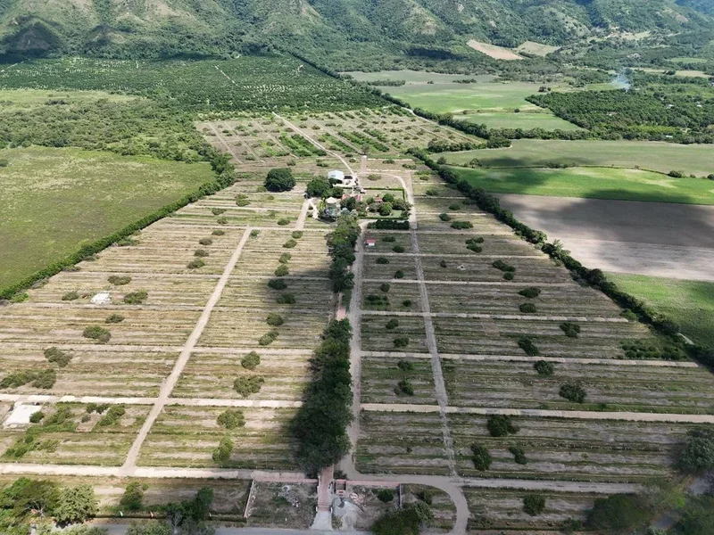 VENDO LOTE CAMPESTRE VARIANTE IBAGUE BOGOTA ALTURA PEAJE COELLO — foto 4 de 9