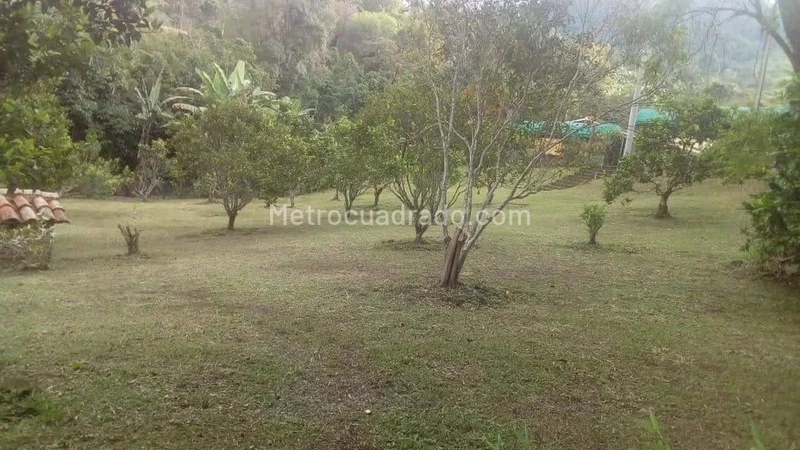 CASA CAMPESTRES EN LA VEREDA ARRAYAN - SAN FRANSISCO, CUNDINAMARCA — foto 11 de 11