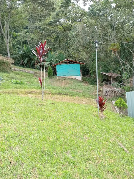 🌳VIVE TU SUEÑO CAMPESTRE. TERRENOS EN AZAFRANAL SILVANIA. Excelente clima, cerca a Bogotá — foto 10 de 10