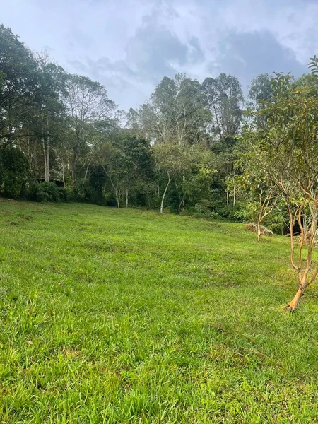 🌳VIVE TU SUEÑO CAMPESTRE. TERRENOS EN AZAFRANAL SILVANIA. Excelente clima, cerca a Bogotá — foto 9 de 10