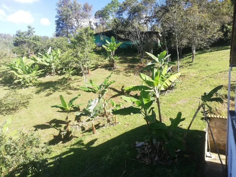 🌳VIVE TU SUEÑO CAMPESTRE. TERRENOS EN AZAFRANAL SILVANIA. Excelente clima, cerca a Bogotá — foto 4 de 10